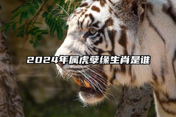 属虎2024年1月吉日 属虎今年有一难是几月