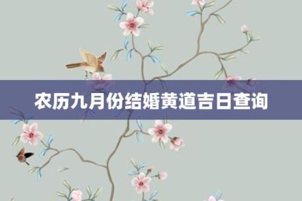 9月买车吉日黄道吉日查询 九月买车黄道吉日查询2021年