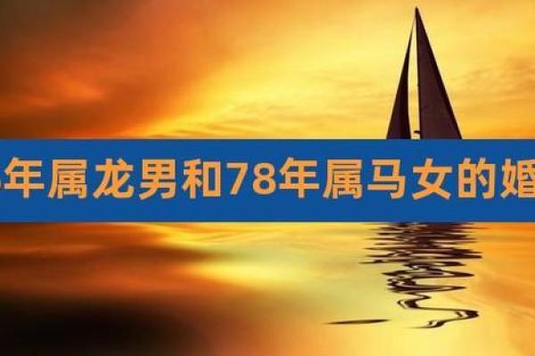 78年出生属马男婚配好吗（78年出生马男婚姻匹配分析）