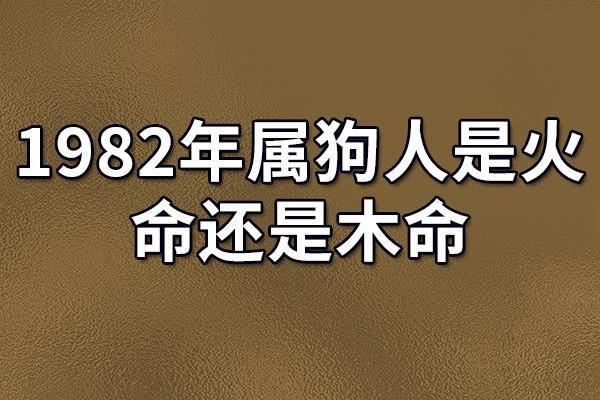 80年属猴男与82年属狗女的婚姻可能性分析