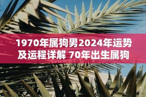 07年属狗男与04年属猴女的婚姻可能性分析