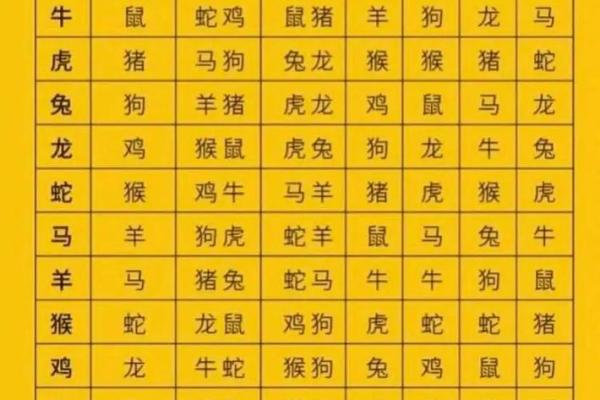 88年龙男与87年兔女的婚配分析