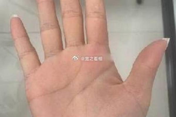 商业天赋显露于掌纹：揭秘哪些手相预示着经商潜能