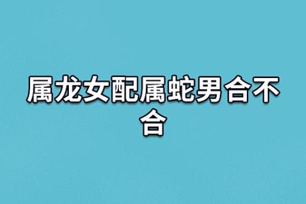 80年属猴男子与77年属蛇女子的婚配分析