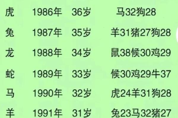 89年蛇男与87年兔女的婚姻可能性分析