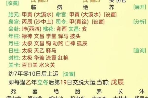 乙未丙戌八字命理详解_乙未丙戌八字命理深入解读