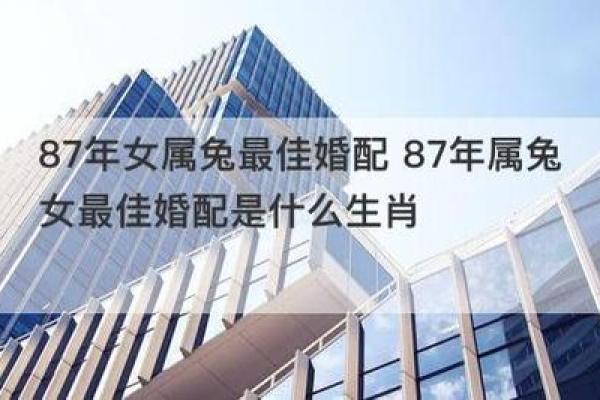 86年属虎男与87年属兔女的婚配分析