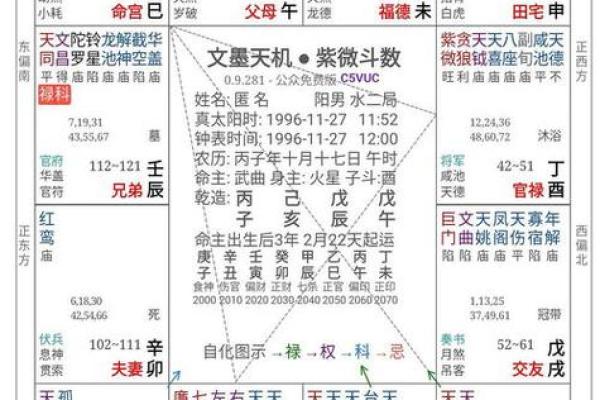 1993年八字命盘 1993年八字命理图谱分享