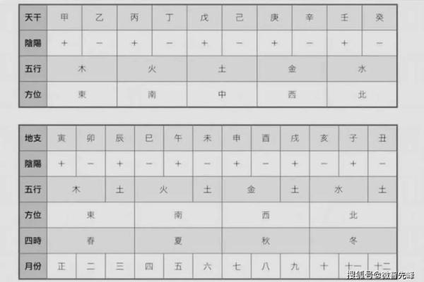 八字身旺身弱的命理特点_八字身旺与身弱的命理特征