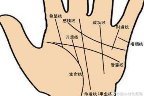 女性手相解析：五大关键线纹深度解读