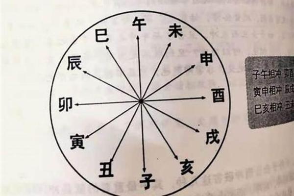 文艺人的八字命理学分析 文艺人八字命理学的奥秘与启示