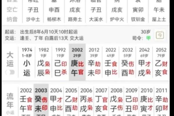 怎么弄懂八字命理的书籍 掌握八字命理的书籍指南