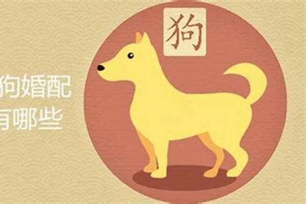 70年出生属狗女的相配属相（1970年出生属狗女性的匹配属相分析）