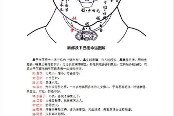 男性面痣解析：痣的位置与命运关联及面部痣象口诀探究