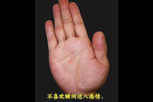 晚年得子女滋养之手相解析：探析享受子女福的手相特征