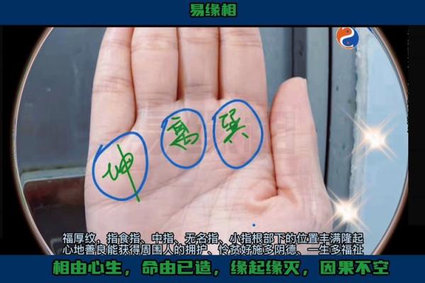 晚年得子女滋养之手相解析：探析享受子女福的手相特征