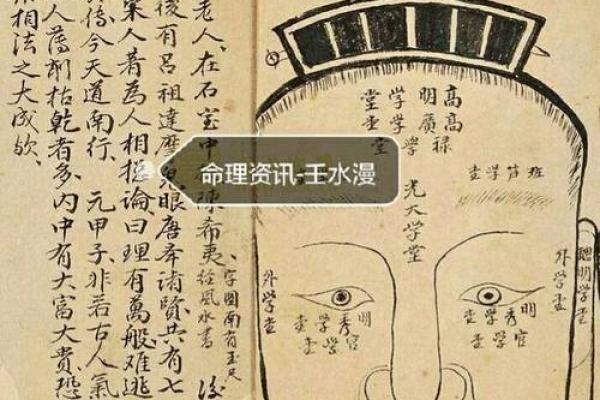 探究眉毛相连男性的命运走向：解析‘头交’含义之谜