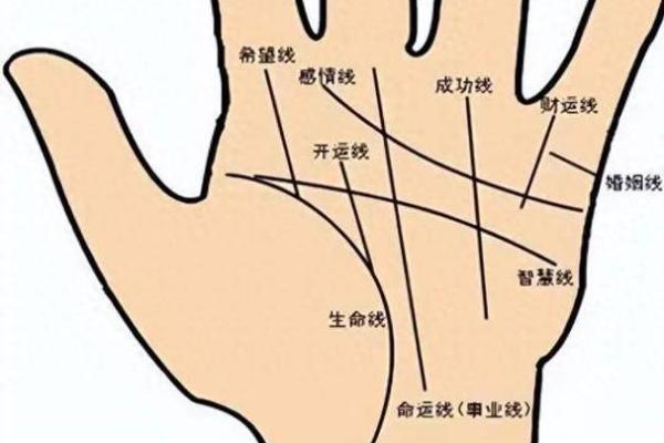 解析女孩右手断掌纹的含义：深入性格特征分析