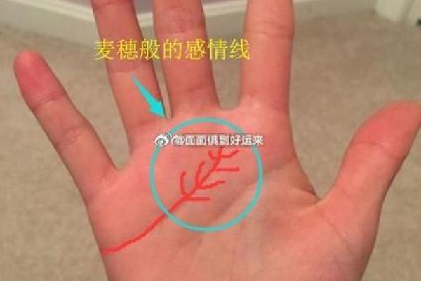 解析女孩右手断掌纹的含义：深入性格特征分析