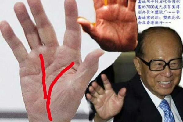 男性手相解析：左手还是右手更关键？揭秘左掌三大主线的奥秘