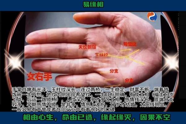 男性财富运势佳的手相特征 财富亨通男士的手相秘诀