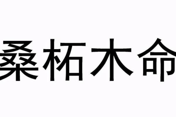 1973年出生的桑柘木命男士