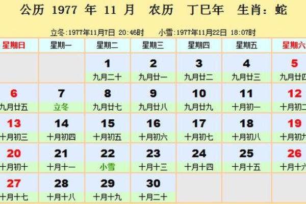 丁巳生于卯月八字命例解析 丁巳年卯月八字命运解读