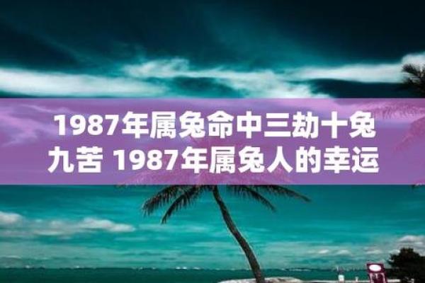 1987年兔年孤独命运