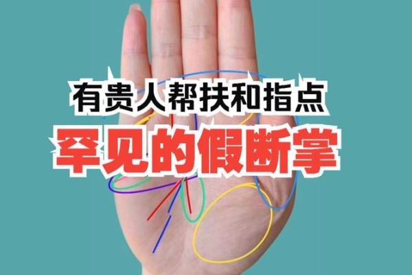 男性断掌纹解析：性格特质与命运影响探究