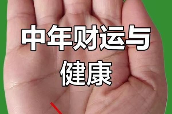 掌中探福运：肉质饱满手掌预示好运连连手相学