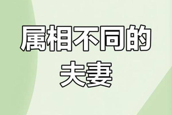 70年属狗男与74年属虎女的默契程度如何