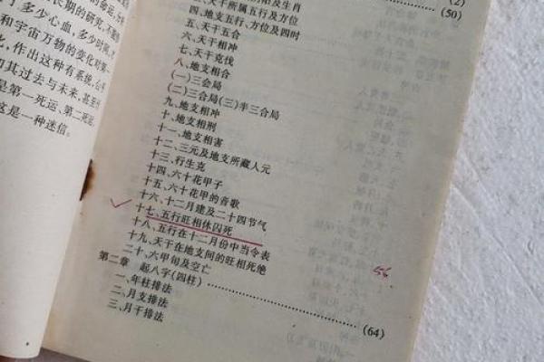 八字命理探源邵伟华,八字详批