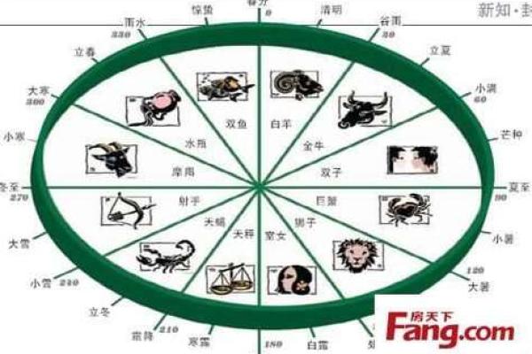 天星八字命理解析 天星八字命运深度解读