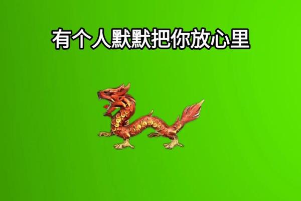 76年出生属龙男的相配属相（1976年出生男性属龙的最佳匹配属相）