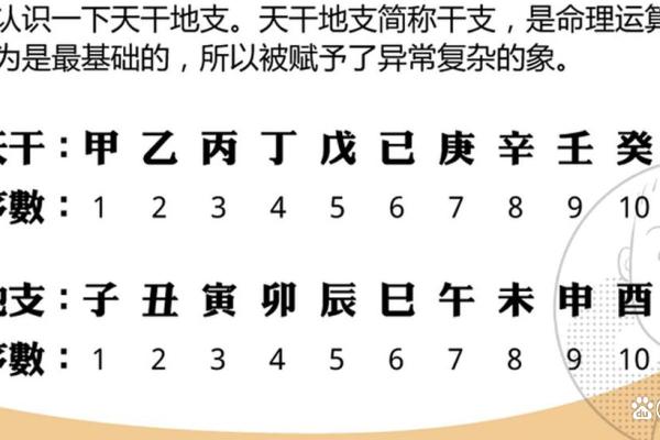 什么叫八字命理学定理,八字命理学的基本定理是什么