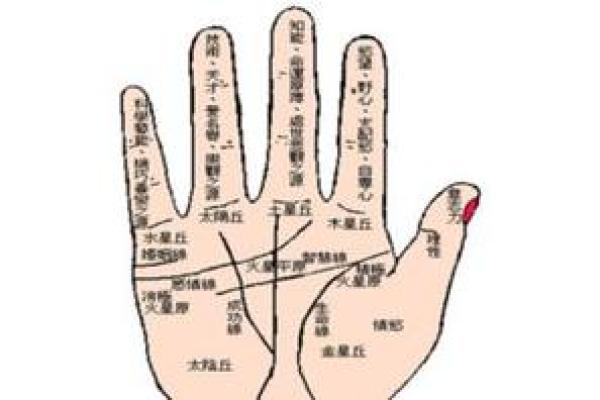 女性右手掌痣解析：掌心痣象征富贵，掌背痣预示尊贵