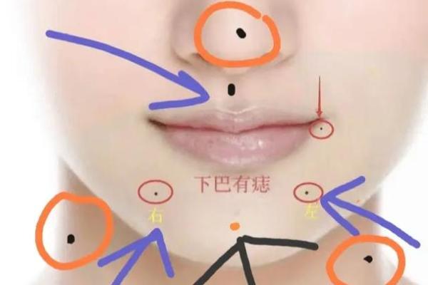 面相解析：下巴在面相学中的象征意义