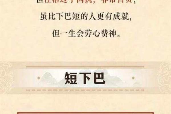 面相解析：下巴在面相学中的象征意义