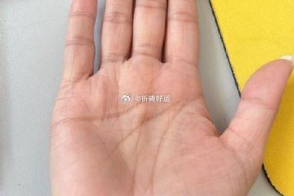 探索手相奥秘：如何正确开启生命线解读之旅
