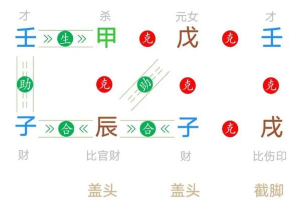 戊子八字命理详解书籍 戊子八字命理全书介绍