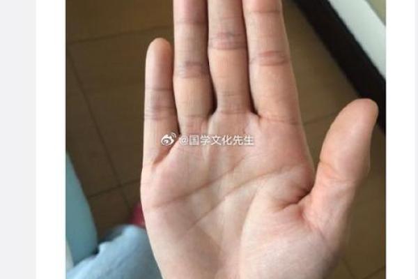 晚绽风华的手相奥秘：感情线底端繁衍众多细纹
