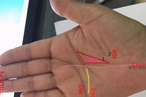 离婚倾向女性的手相特征：感情线纷乱预示情感波折