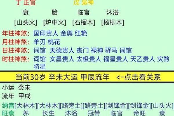 丁巳日八字命例分析详解 丁巳日八字命例的深入解读与分享