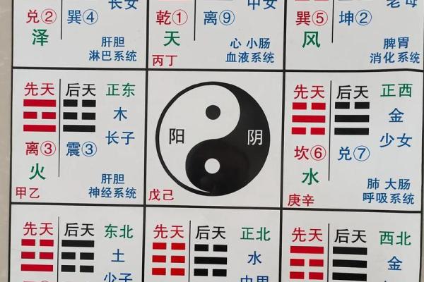 运势命理八字详解大全女 女性八字运势与命理全解指南