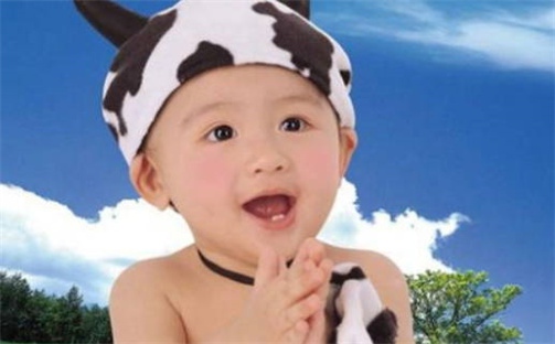 赖姓男孩子取名