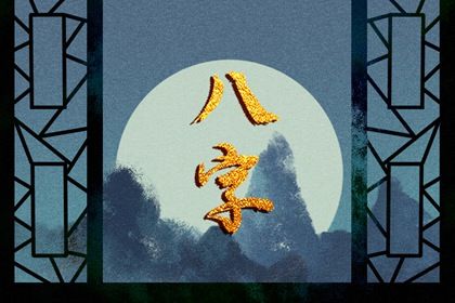 排盘报告阅读顺序