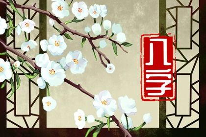本命年八字|命生辰八字算命|八字八卦排盘|精准测八字
