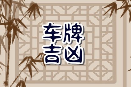 车牌号测算基础