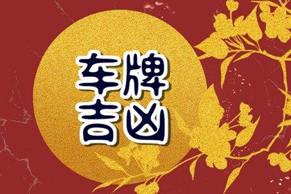数字化号码参考用法