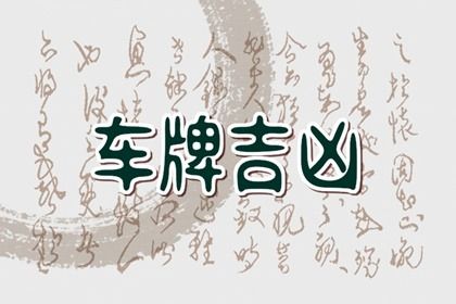 数字化号码参考用法